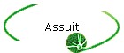 Assuit